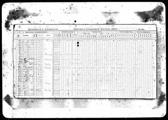 1890 Cherokee Census