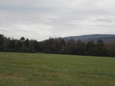 1850 Cherokee Land Freedom Polk County Arkansas Photo Taken 2014